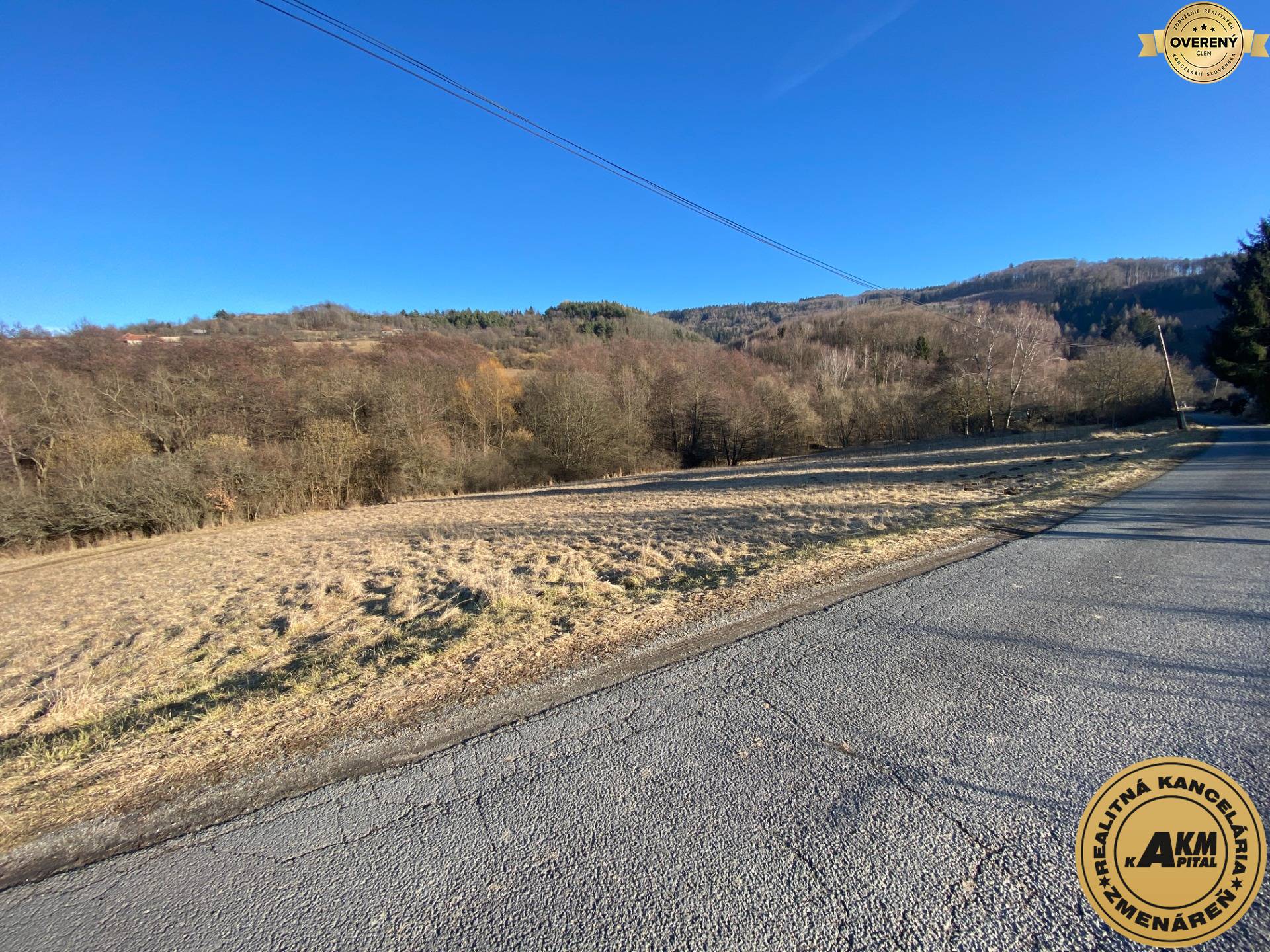 Stavebný pozemok na predaj_Zvolen_Detva