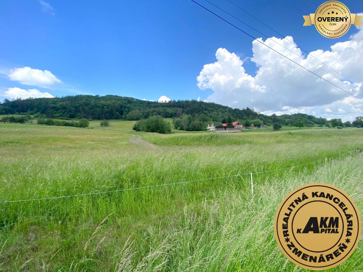 pozemok_Slatinské lazy Detva_predaj.JPG