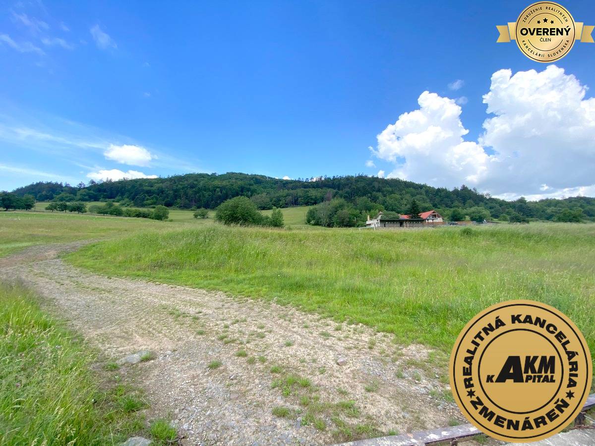 pozemok_Slatinské lazy Detva_predaj.JPG