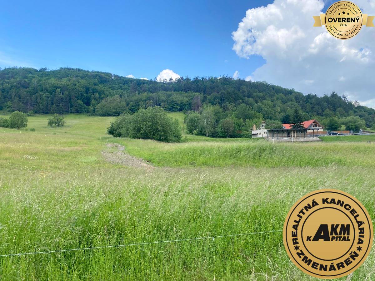 pozemok_Slatinské lazy Detva_predaj.JPG