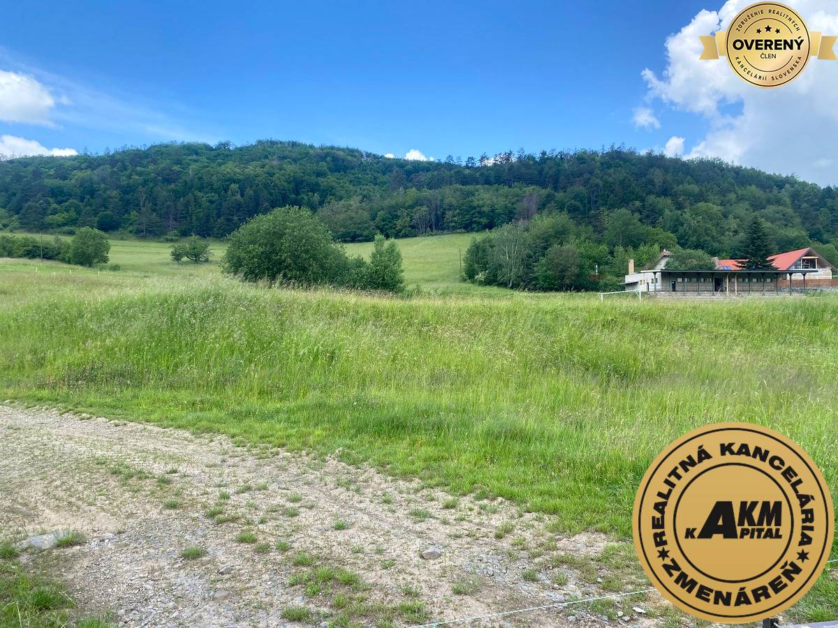 pozemok_Slatinské lazy Detva_predaj.JPG