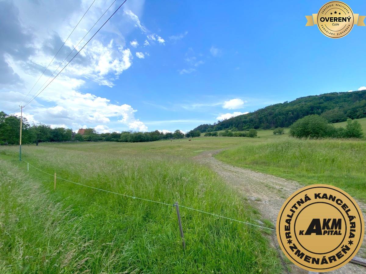 pozemok_Slatinské lazy Detva_predaj.JPG