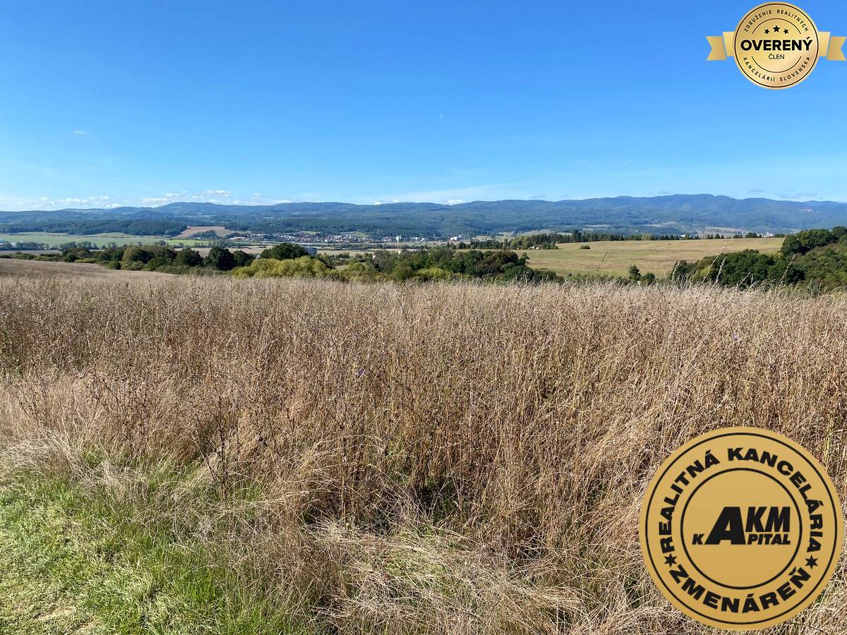 pozemok_Sarvaška Zvolen_predaj.JPG