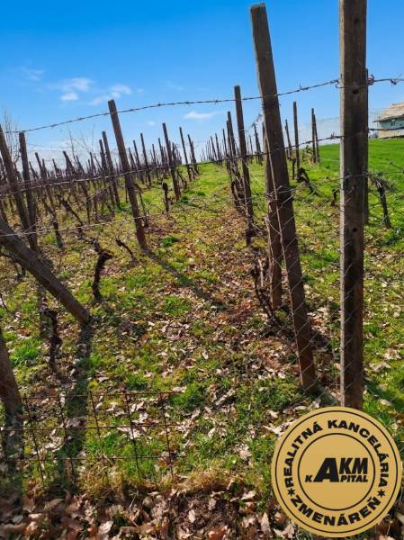 vinice Hontianske Nemce na predaj 